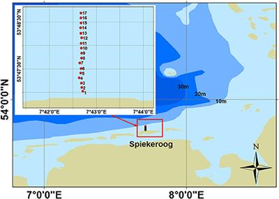 Near- and Offshore Macrofauna Communities and Their Physical Environment in a South-Eastern North Sea Sandy Beach System